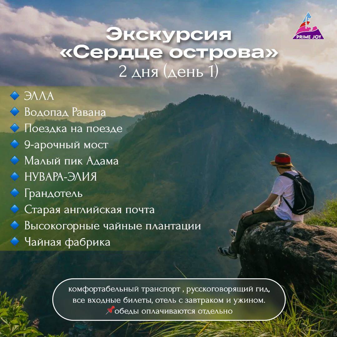 Горная дорога и чайные плантации Шри-Ланки